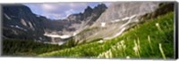 Framed Beargrass with mountains in the background, Montana