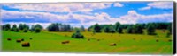 Framed Hay bales in a landscape, Michigan, USA