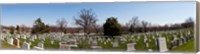 Framed Tombstones in a cemetery, Arlington National Cemetery, Arlington, Virginia, USA