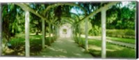 Framed Pathway in a botanical garden, Jardim Botanico, Zona Sul, Rio de Janeiro, Brazil