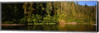 Framed Reflection of trees in a river, Smith River, Jedediah Smith Redwoods State Park, California, USA