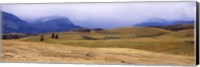 Framed Rolling landscape with mountains in the background, East Glacier Park, Glacier County, Montana, USA