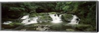 Framed Dingmans Creek flowing through a forest, Dingmans Falls Area, Delaware Water Gap National Recreation Area, Pennsylvania, USA