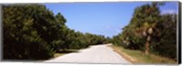 Framed Road passing through Ding Darling National Wildlife Refuge, Sanibel Island, Lee County, Florida, USA