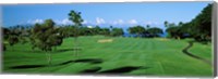 Framed Trees , Kaanapali Golf Course, Maui, Hawaii, USA