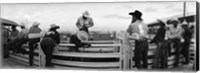 Framed Cowboys at rodeo, Pecos, Texas, USA