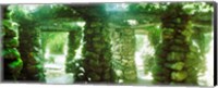 Framed Stone canopy in the botanical garden, Jardim Botanico, Zona Sul, Rio de Janeiro, Brazil