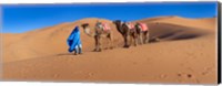 Framed Tuareg man leading camel train in desert, Erg Chebbi Dunes, Sahara Desert, Morocco