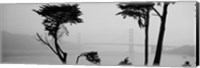 Framed Golden Gate Bridge Through the Fog (black & white)