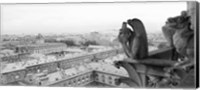 Framed Gargoyle statue at a cathedral, Notre Dame, Paris, Ile-De-France, France