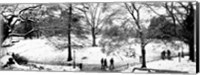 Framed High angle view of a group of people in a park, Central Park, Manhattan, New York