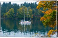 Framed Sailboats in a lake, Washington State, USA
