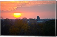 Framed Trees and farm sunset, Wisconsin, USA