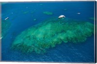 Framed Aerial view of coral reef in the pacific ocean, Great Barrier Reef, Queensland, Australia