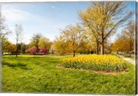 Framed Flowers with trees at Sherwood Gardens, Baltimore, Maryland, USA