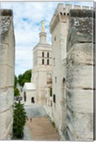 Framed Church in a city, Cathedrale Notre-Dame des Doms d'Avignon, Palais des Papes, Provence-Alpes-Cote d'Azur, France