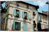Framed View of an old building with flower pots on each window, Rue Des Arenes, Arles, Provence-Alpes-Cote d'Azur, France