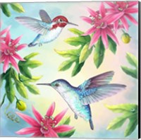 Framed Bee Hummingbirds