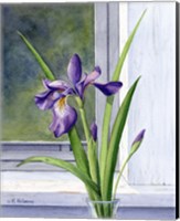 Framed Blue Flag-Wild Iris