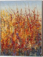 Framed High Desert Blossoms II
