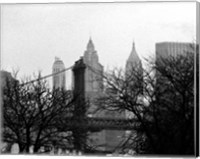Framed Bridges of NYC V