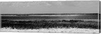 Framed Shore Panorama IV