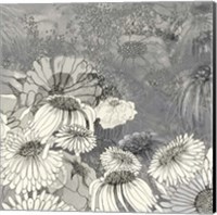 Framed Flowers on Grey II