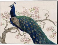 Framed Peacock & Blossoms II