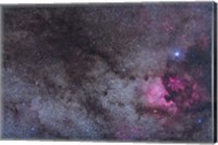 Framed North America Nebula and dark nebulae in Cygnus