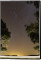 Framed Orion constellation between trees, Buenos Aires, Argentina