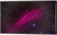 Framed California Nebula