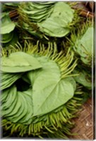 Framed Betel Leaves (Piper Betle) Used to Make Quids For Sale at Market, Myanmar