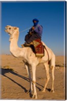 Framed Bedouin man on camel, Douz, Sahara Tunisia, Africa