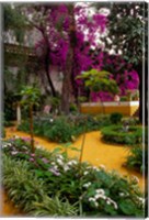 Framed Garden Courtyard, Marrakech, Morocco