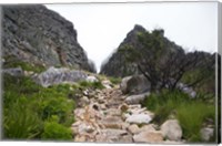 Framed Hiking Up Table Mountain, Cape Town, Cape Peninsula, South Africa