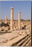 Framed Ancient Architecture, Sabratha Roman site, Libya