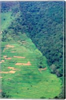 Framed Abutting Agricultural Development, Uganda