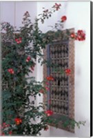 Framed Courtyard with Zellij (Mosaic Tilework), Marrakech, Morocco