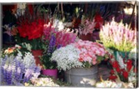 Framed Bunch of Flowers at the Market, Madagascar