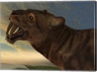 Framed Saber-Tooth Cat with dagger like front canine teeth