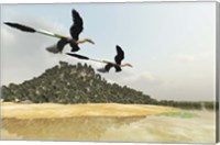 Framed Two Microraptor dinosaurs fly over a wetland marsh in prehistoric times