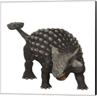 Framed Ankylosaurus was an armored dinosaur from the Creataceous Period