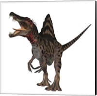 Framed Spinosaurus dinosaur