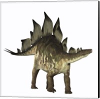 Framed Stegosaurus dinosaur