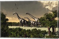 Framed Brachiosaurus dinosaurs walk through a forested area