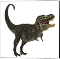 Framed Tyrannosaurus Rex, a large predatory beast of the Cretaceous period