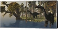 Framed Two Apatosaurus dinosaurs visit an island in prehistoric times