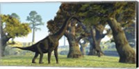 Framed Brachiosaurus dinosaurs walk among large trees in the prehistoric era