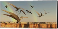 Framed flock of Pterodactyls fly out of a canyon