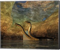 Framed Plesiosaurus captures a Eurhinosaurus marine reptile in a sea cave